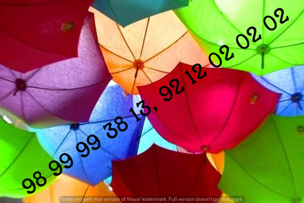 ﻿Paper Parasols Wedding Manufacturers,Contractors,Service Provide, Suppliers, 