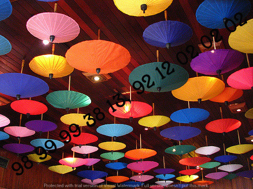 Decorative Umbrellas For Wedding, Parties Events Manufacturers, Jaipuri, Rajasth