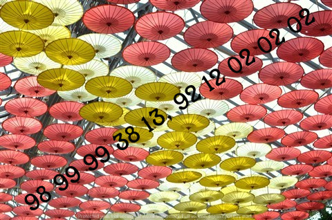 Specialized Black Lace Umbrella, Umbrellas For Wedding Guests, Paper Parasols We