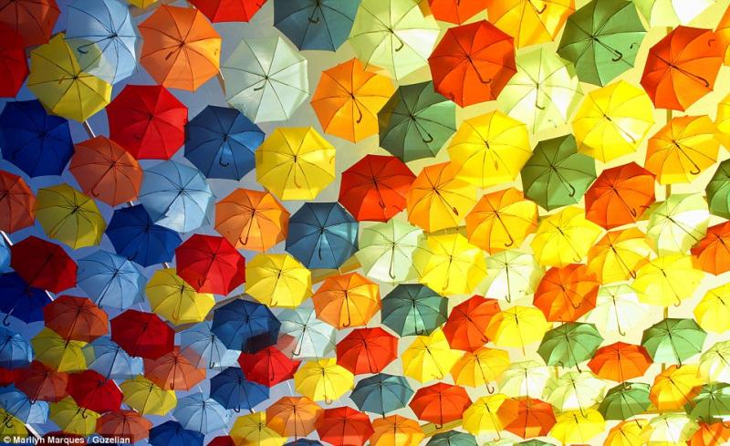 Promotional Umbrellas  Best and Prominent Manufacturer New Delhi