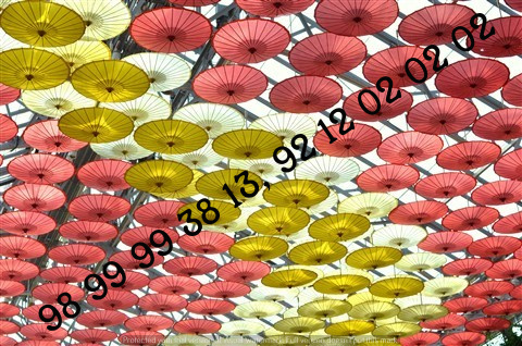 Specialized ﻿Umbrellas Decoration for Marriage﻿, Manufacturers, Contractor Delhi