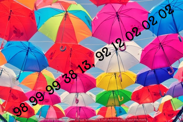 luxury Handmade Handicraft Traditionaly Umbrellas For Wedding, Manufacturers, 